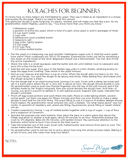 Kolaches for Beginners