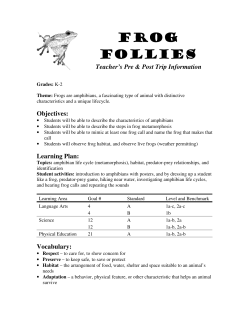 Frog Follies