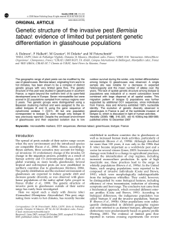 Genetic structure of the invasive pest Bemisia tabaci