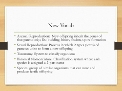 Taxonomy Review October 4