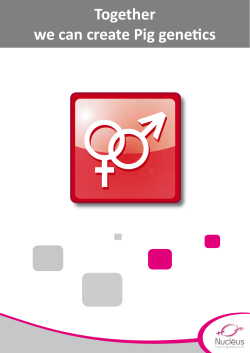 Together we can create Pig genetics