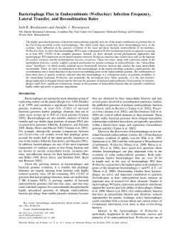 Bacteriophage Flux in Endosymbionts (Wolbachia)