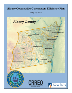 Albany Countywide Government Efficiency Plan