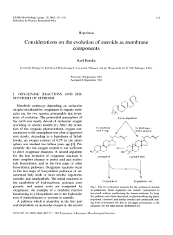 Considerations on the evolution of steroids as