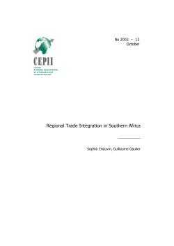 Regional Trade Integration in Southern Africa