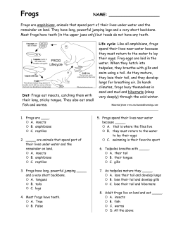 Frogs - Our Class Web