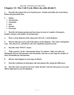 notes pdf