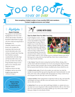 the ROO Report - Rover on Over Dog Walking in