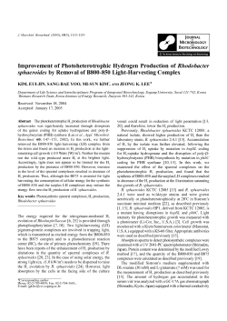 Improvement of Photoheterotrophic Hydrogen Production of