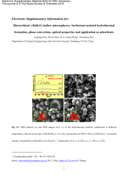 Electronic Supplementary Information for