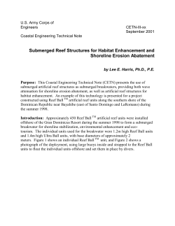 Submerged Reef Structures for Habitat