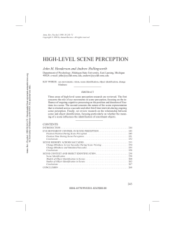 high-level scene perception