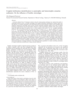 RISGAARD-PETERSEN, NILS Coupled nitrification&ndash;denitrification in