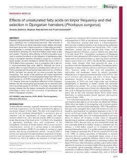 Effects of unsaturated fatty acids on torpor frequency and diet