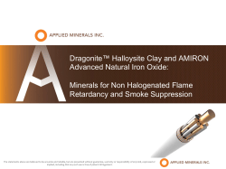Dragonite&trade; Halloysite Clay and AMIRON Advanced Natural Iron