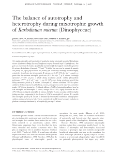 The balance of autotrophy and heterotrophy during mixotrophic