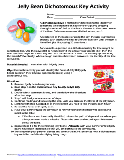 Jelly Bean Dichotomous Key Activity