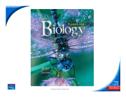 8-3 The Reactions of Photosynthesis