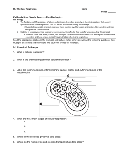 Ch. 9 Cellular Respiration packet-2009