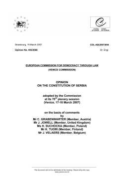opinion on the constitution of serbia - Venice Commission
