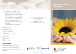 Death of a Pet - Irish Hospice Foundation