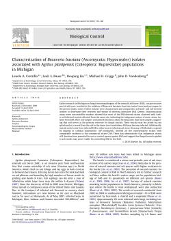 Characterization of Beauveria bassiana (Ascomycota: Hypocreales