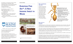 Fire Ant Brochure-PC