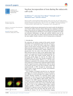 Nuclear incorporation of iron during the eukaryotic cell cycle