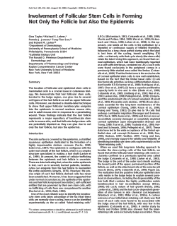 Involvement of Follicular Stem Cells in Forming Not