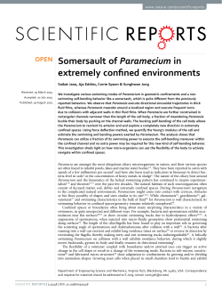 Somersault of Paramecium in extremely confined environments
