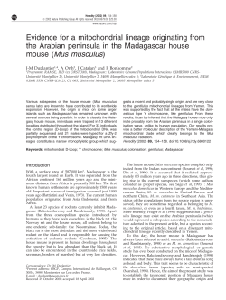 Evidence for a mitochondrial lineage originating from the