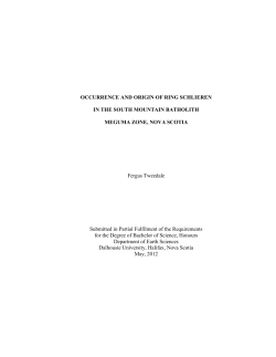 occurrence and origin of ring schlieren in the south mountain