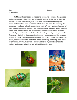 Alex Sgreen Science Blog On Monday I read about sponges and