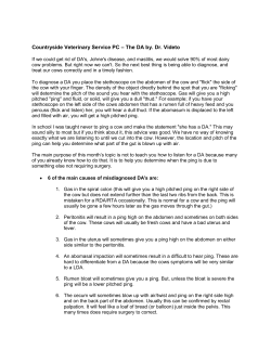 Countryside Veterinary Service PC &ndash; The DA by. Dr. Videto