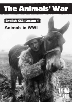 KS3 Lesson plan 1: Animals In WWI (624.2KB pdf)