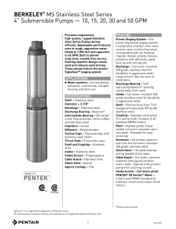 BERKELEY&reg; MS Stainless Steel Series 4&rdquo; Submersible Pumps