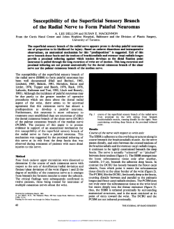 Susceptibility of the Superficial Sensory Branch of the