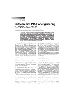 Cytochromes P450 for engineering herbicide tolerance