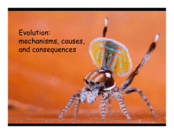 Evolution: mechanisms, causes, and consequences