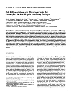 Cell Differentiation and Morphogenesis Are Uncoupled in