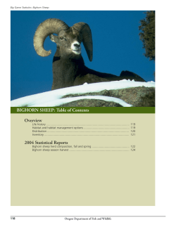 BIGHORN SHEEP: Table of Contents Overview 2004 Statistical