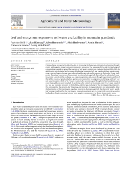 Leaf and ecosystem response to soil water availability in mountain