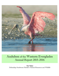 2015-2016 - Collier County Audubon Society