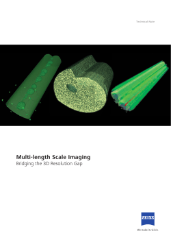 Multi-length Scale Imaging