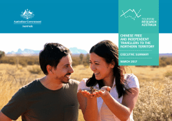 chinese free and independent travellers to the northern