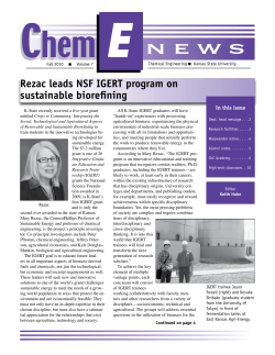 ChemE News, Fall 2010 - Chemical Engineering
