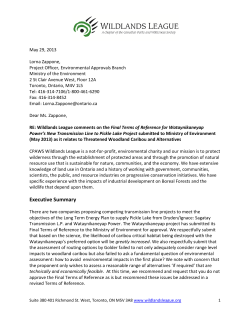 Executive Summary - Wildlands League