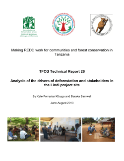 Analysis of the drivers of deforestation and stakeholders in the Lindi