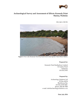 archaeological report