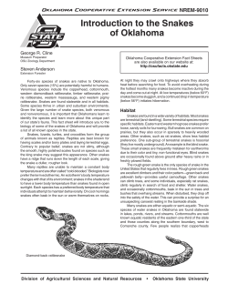Introduction to the Snakes of